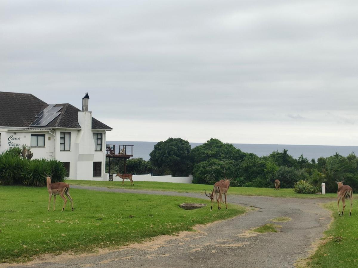 Cove View B&B East London Bagian luar foto