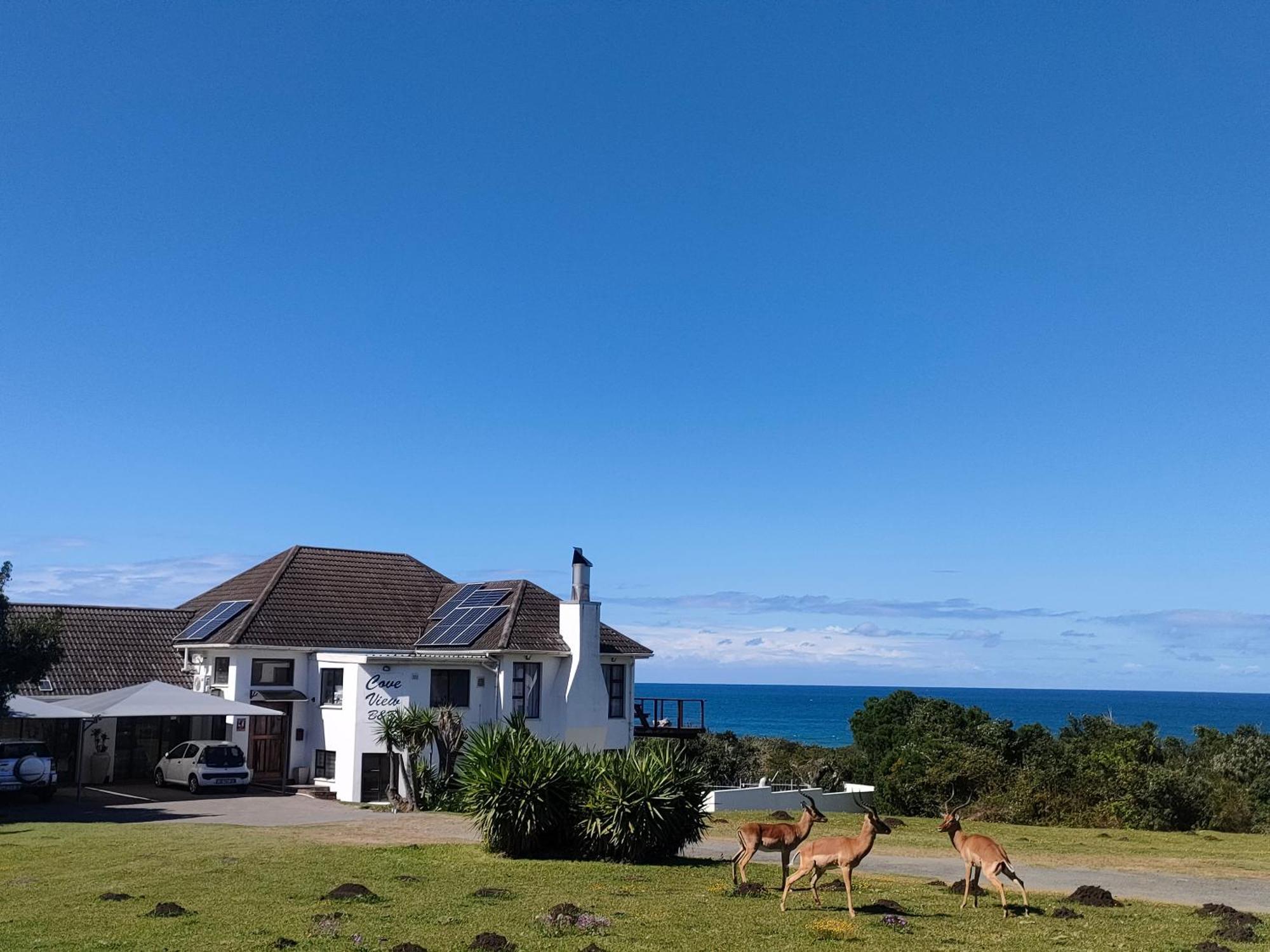 Cove View B&B East London Bagian luar foto
